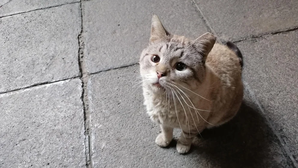 USBSKTO6UJGYPKU3J35KNGFALE