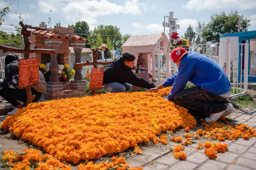 WhatsApp Image 2023-11-03 at 4.42.56 PM