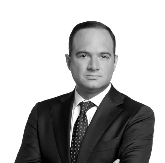 León copia