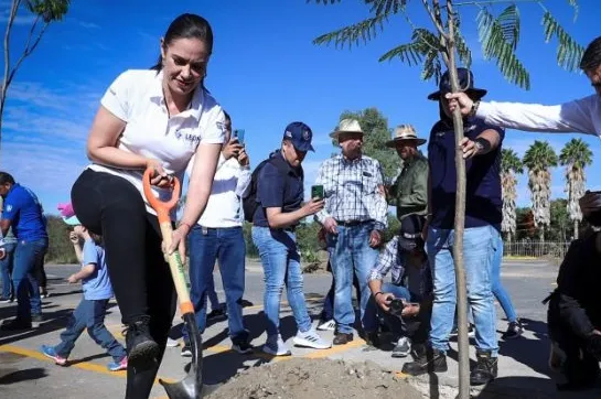 Captura de pantalla 2024-06-24 a la(s) 3.39.43 a.m.