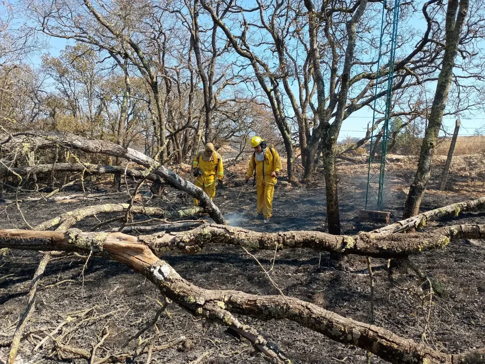 WhatsApp Image 2025-04-30 at 12.25.20 PM