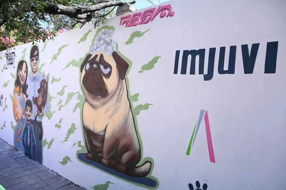 WhatsApp Image 2025-03-28 at 14.08.55