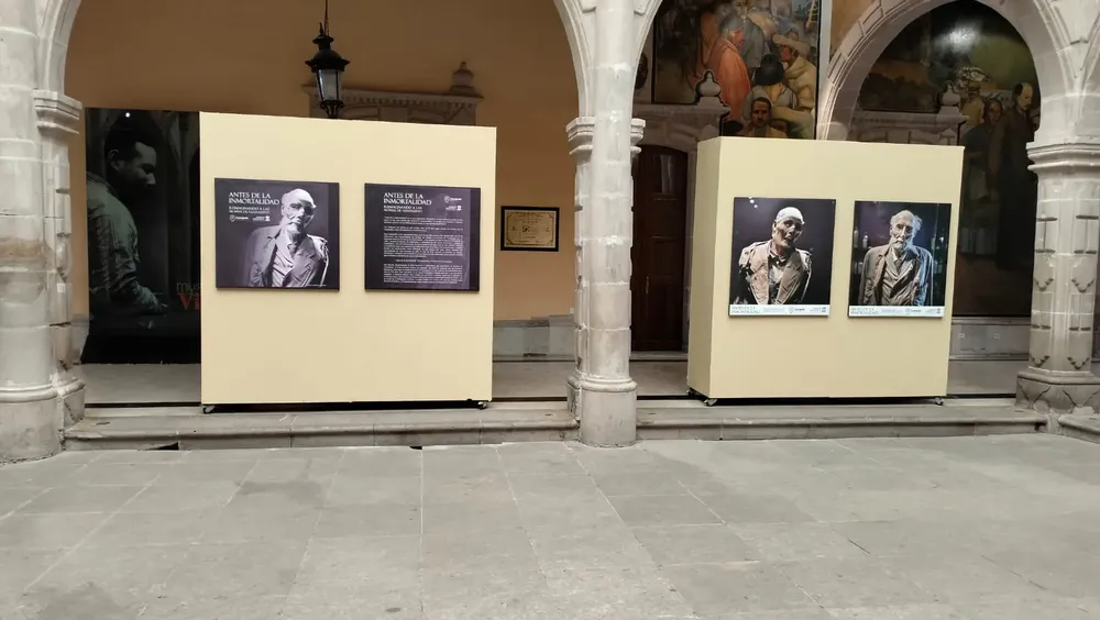 WhatsApp Image 2024-08-19 at 16.46.17