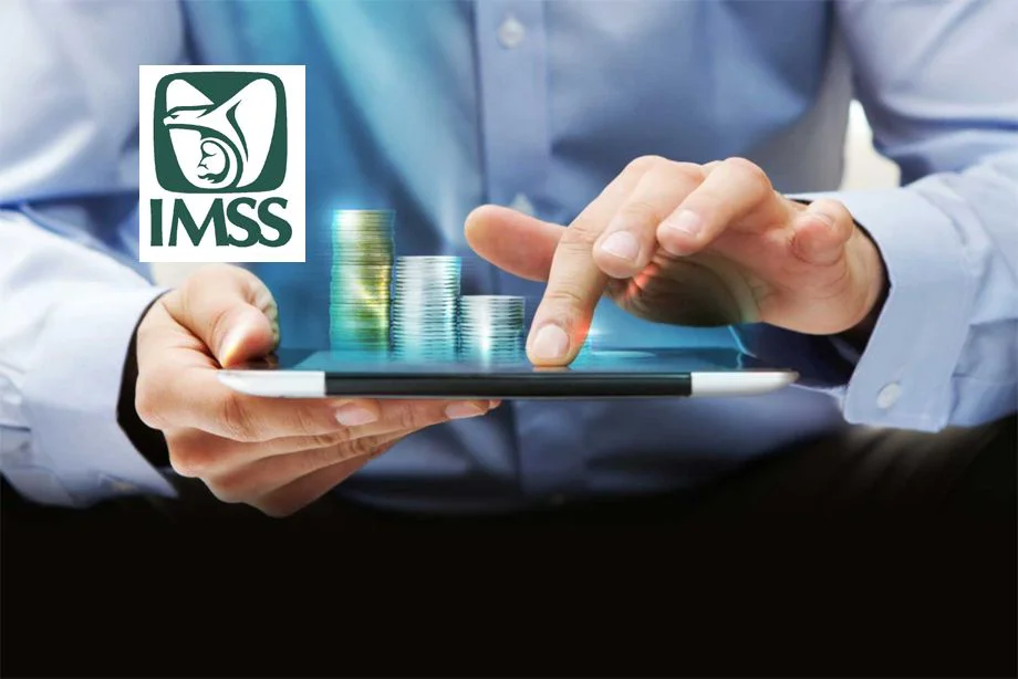 capital-constitutivo-imss