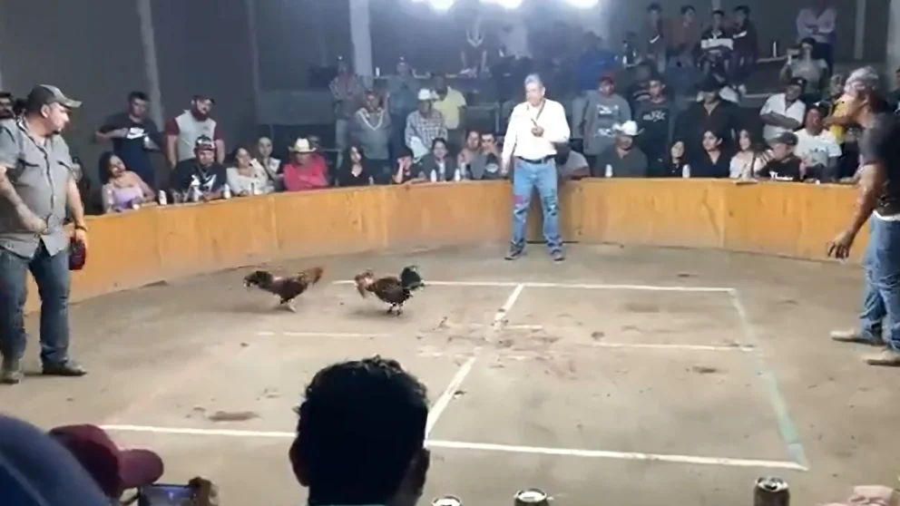 CKAKYXDYRRBY3HVPTEPJUN23LQ