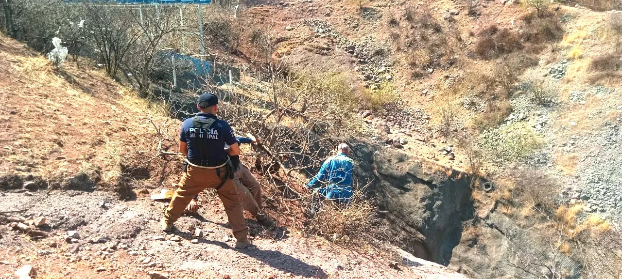 WhatsApp Image 2024-06-06 at 16.34.53