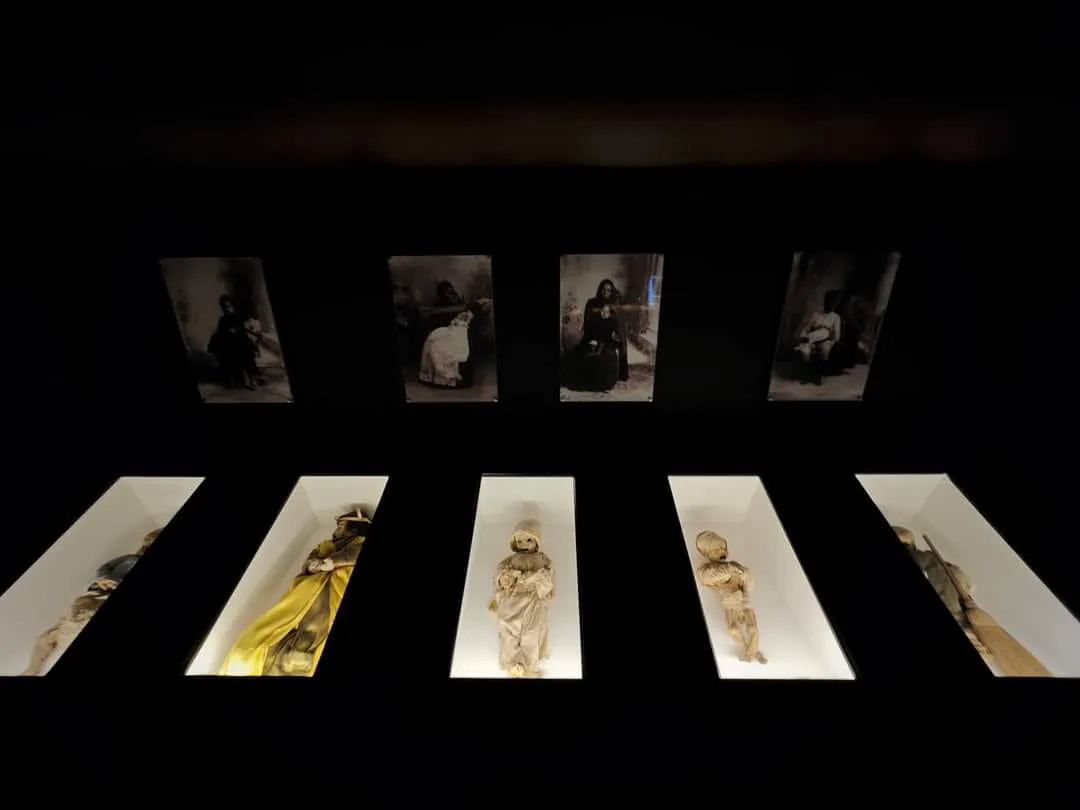 WhatsApp Image 2024-05-01 at 15.07.06 (4)