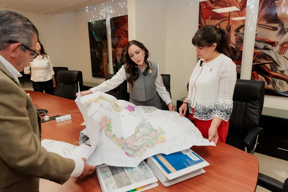 WhatsApp Image 2025-03-19 at 18.11.14