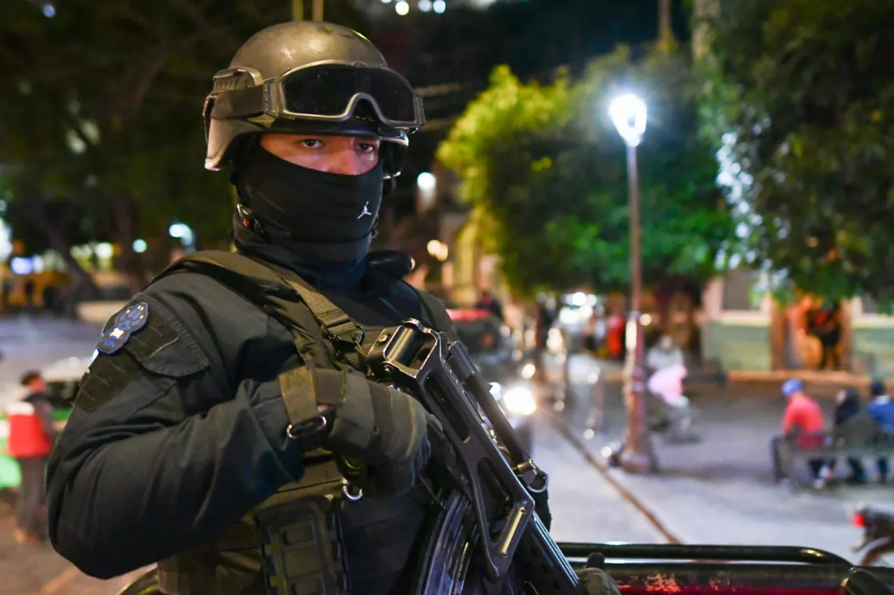 WhatsApp Image 2024-08-16 at 15.47.59