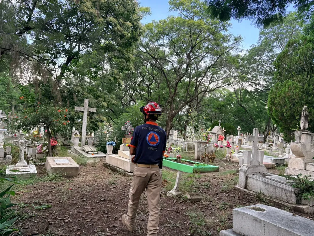 WhatsApp Image 2025-10-07 at 11.42.31