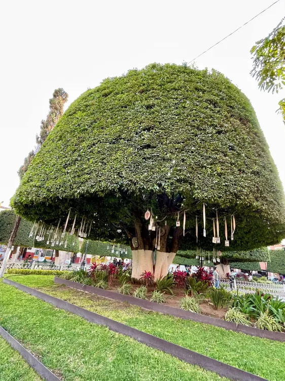 WhatsApp Image 2026-03-07 at 18.48.15