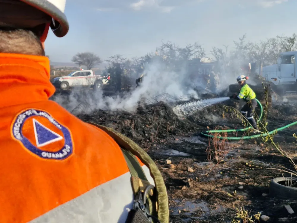 WhatsApp Image 2026-03-11 at 15.47.42