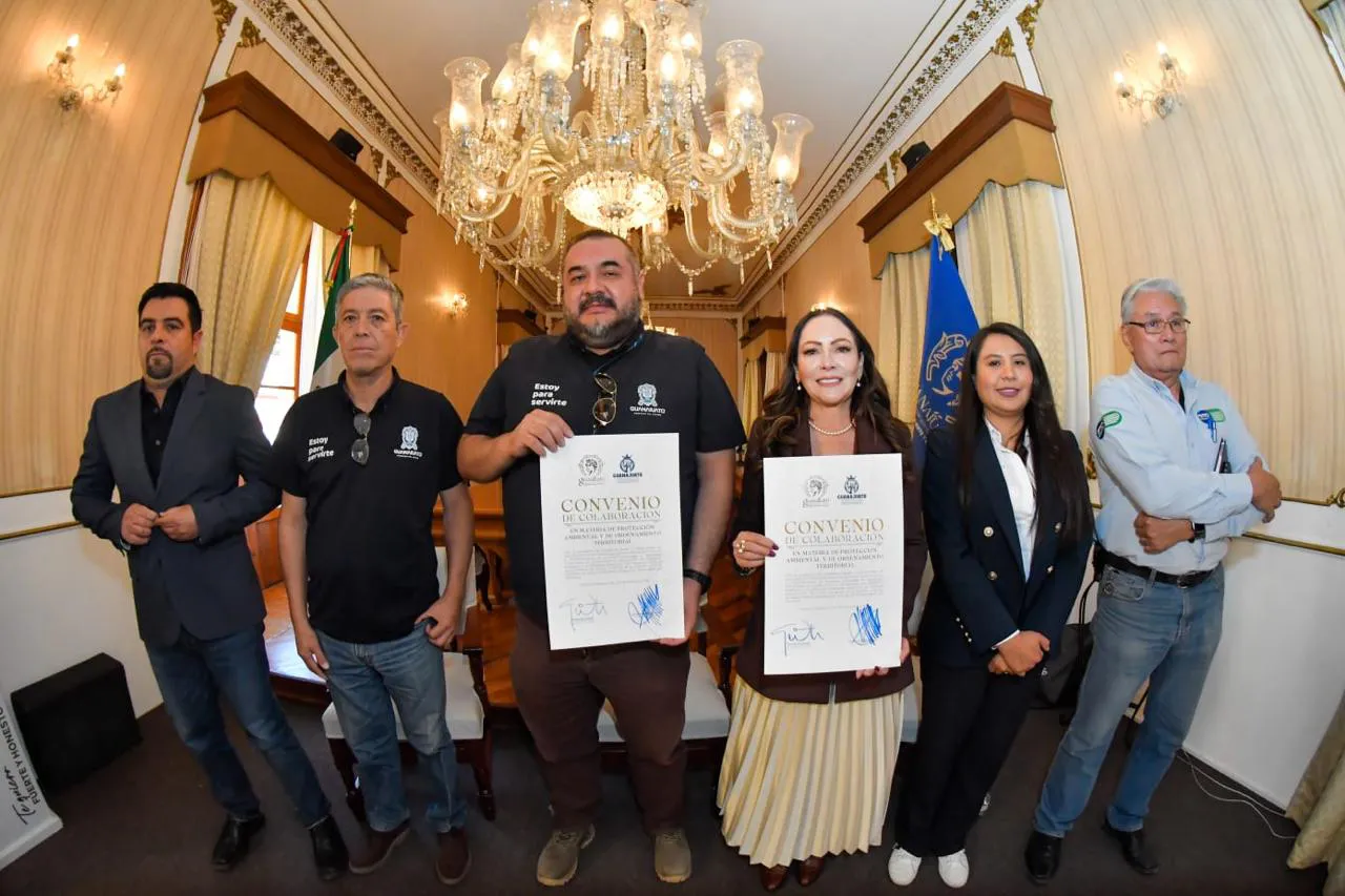 WhatsApp Image 2025-12-19 at 16.01.41