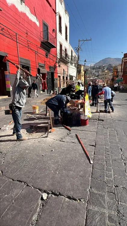 WhatsApp Image 2024-12-09 at 18.14.51