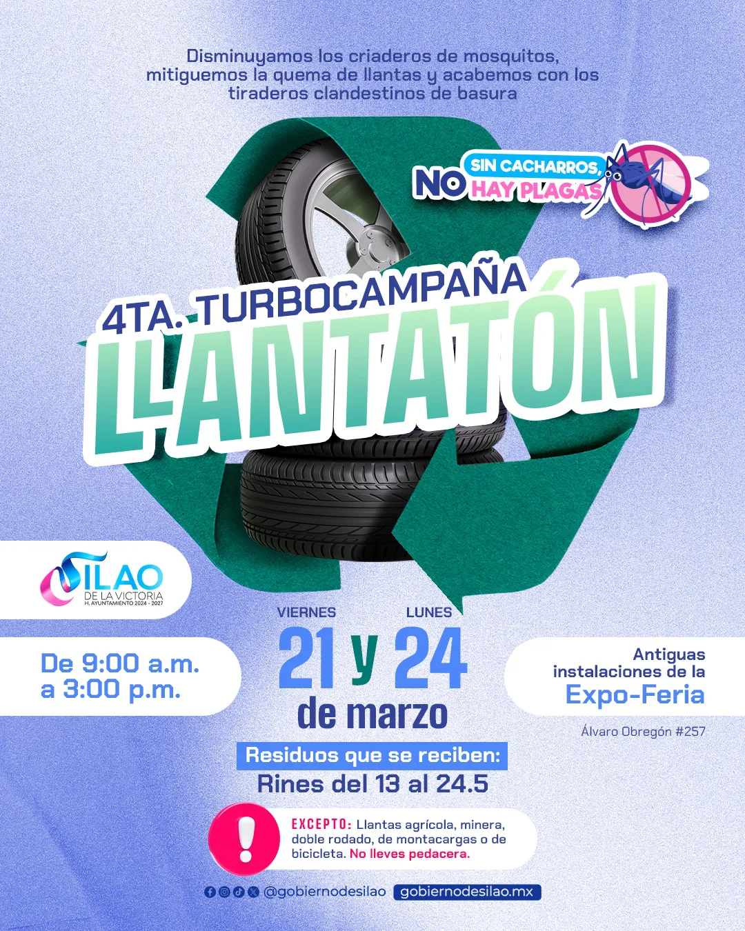 WhatsApp Image 2025-03-19 at 16.35.34