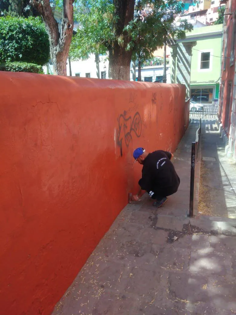 WhatsApp Image 2024-06-08 at 15.28.51