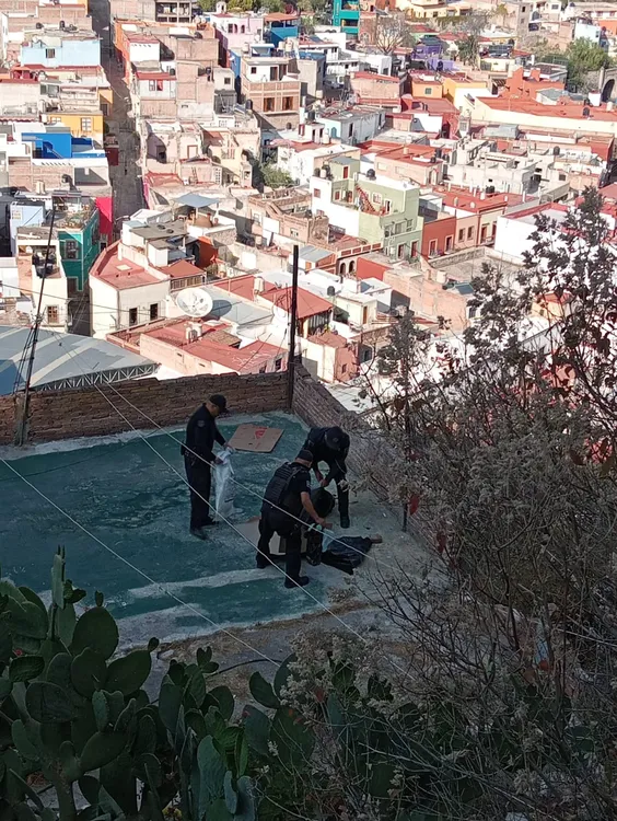 WhatsApp Image 2024-04-11 at 18.04.13