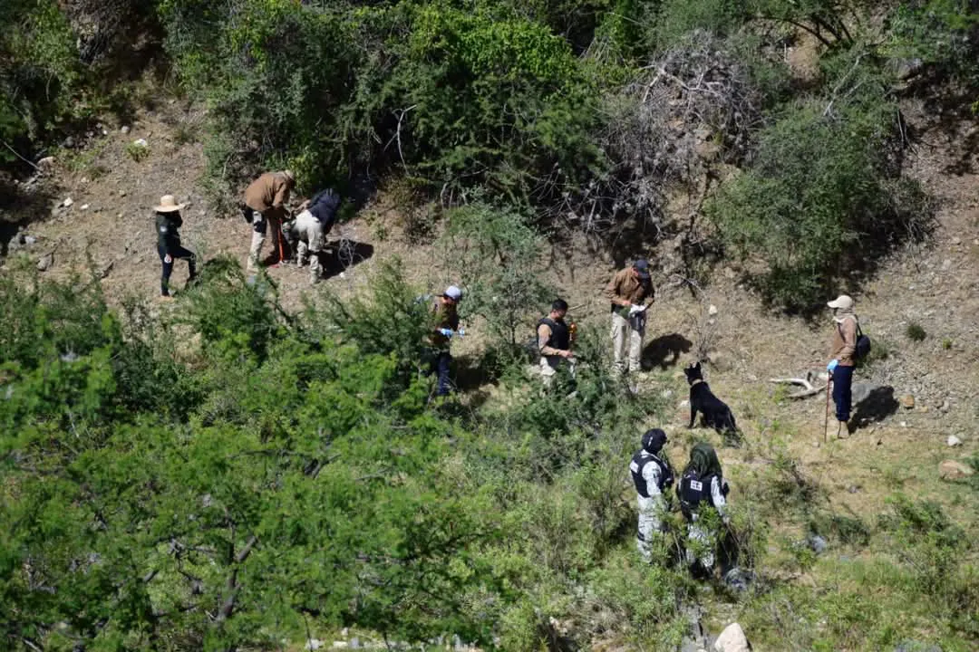 WhatsApp Image 2025-05-05 at 4.55.12 PM