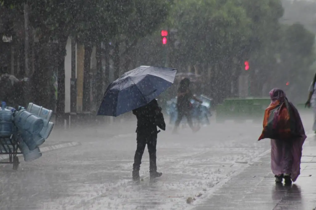 WhatsApp-Image-2023-05-29-at-2.56.19-PM