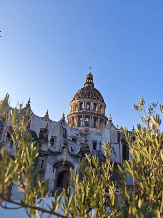 WhatsApp Image 2025-04-16 at 4.31.45 PM (1)