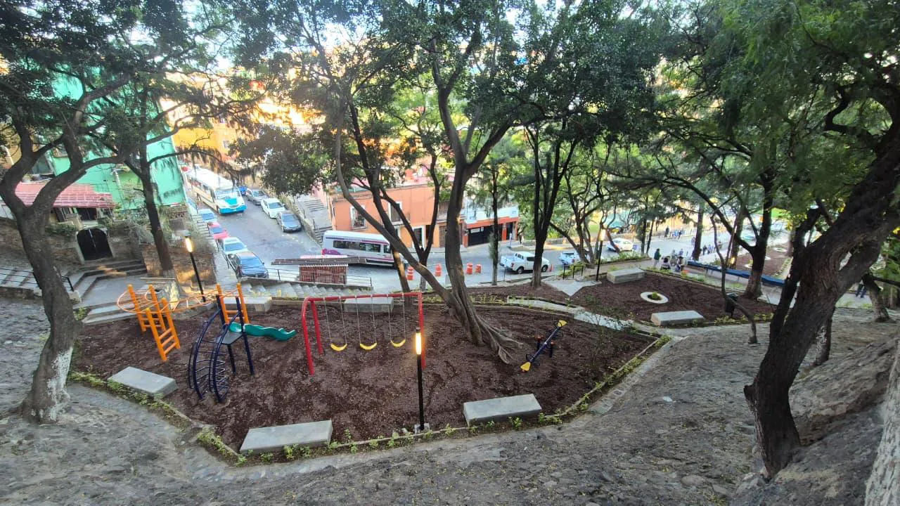 WhatsApp Image 2025-11-28 at 15.37.13