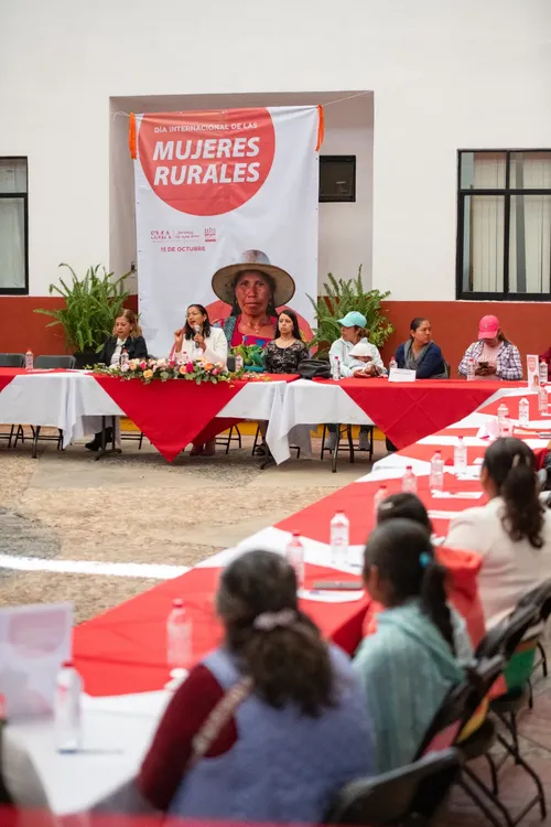 WhatsApp Image 2025-10-17 at 08.28.08