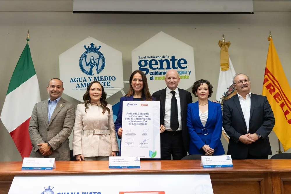 WhatsApp Image 2025-02-25 at 20.12.59