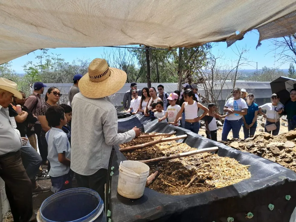 WhatsApp-Image-2025-04-06-at-13.39.58-4-980x735