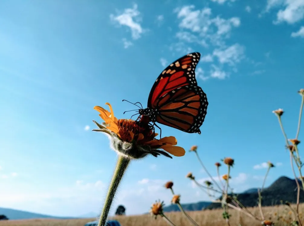 Captura de pantalla 2023-08-07 a la(s) 12.26.17 a.m.