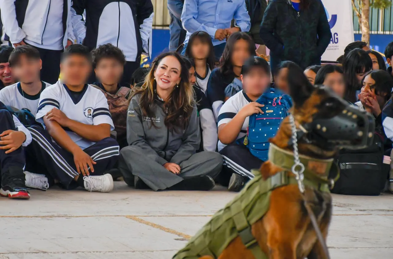 WhatsApp Image 2026-02-05 at 16.52.18