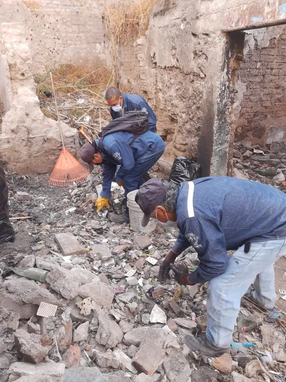 WhatsApp Image 2025-01-25 at 15.03.56