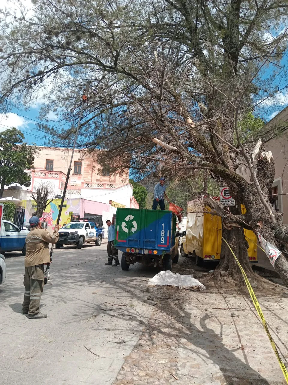 WhatsApp Image 2024-07-05 at 15.24.22