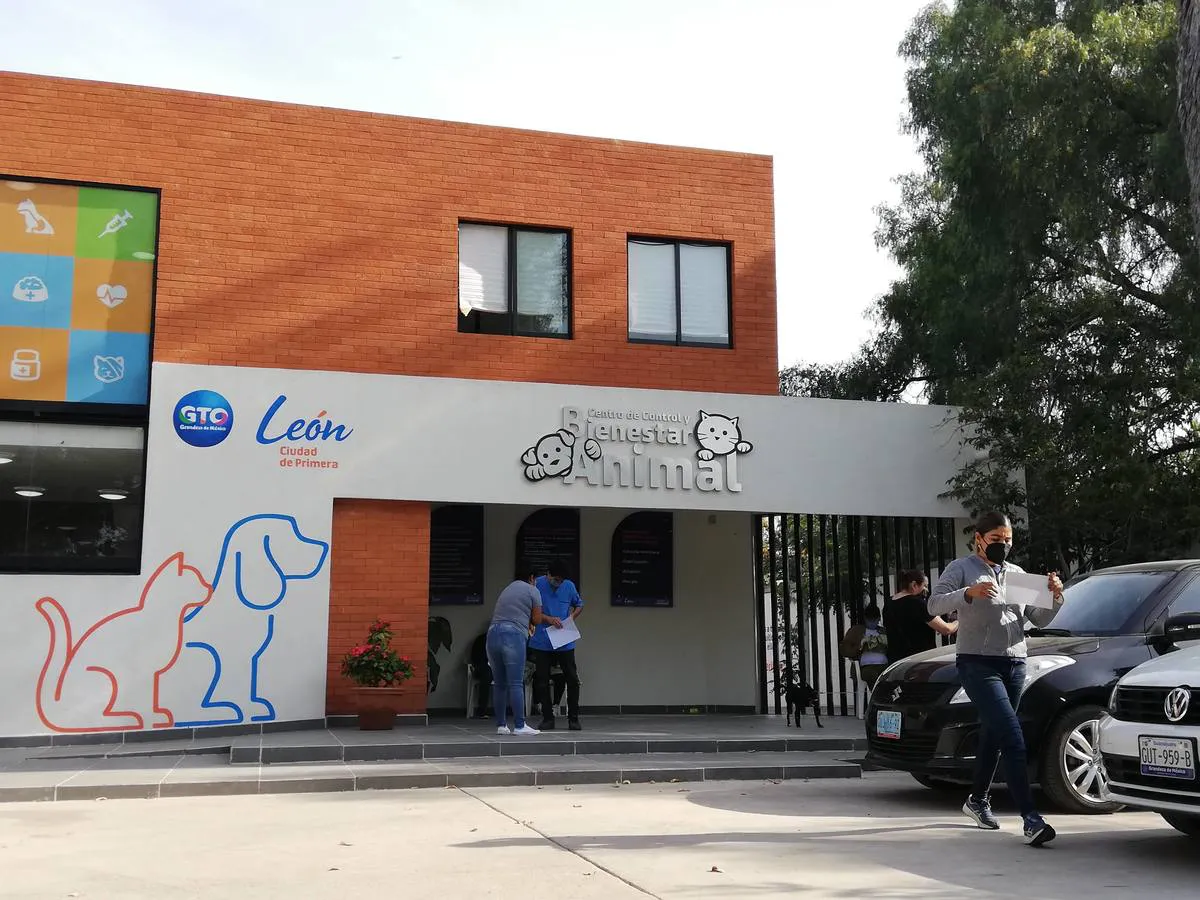 centro-control-animal-leon-dara