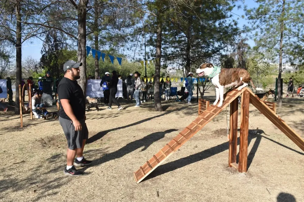 FB_IMG_1773870243796