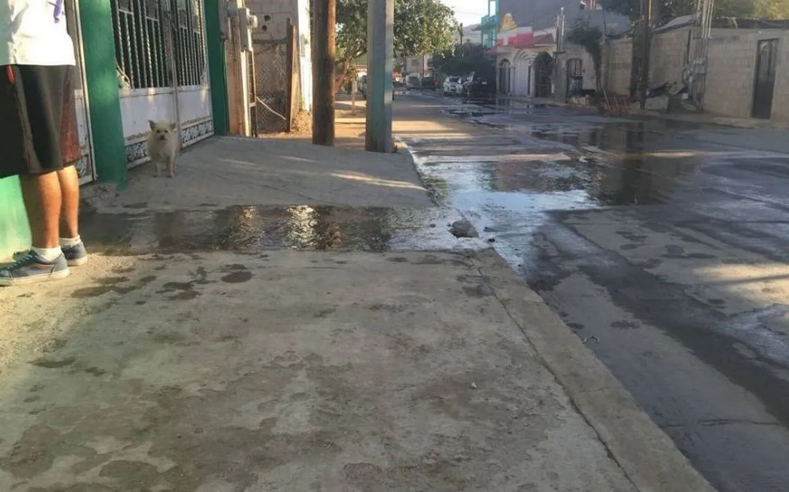 Desperdicio de agua en Los Cabos