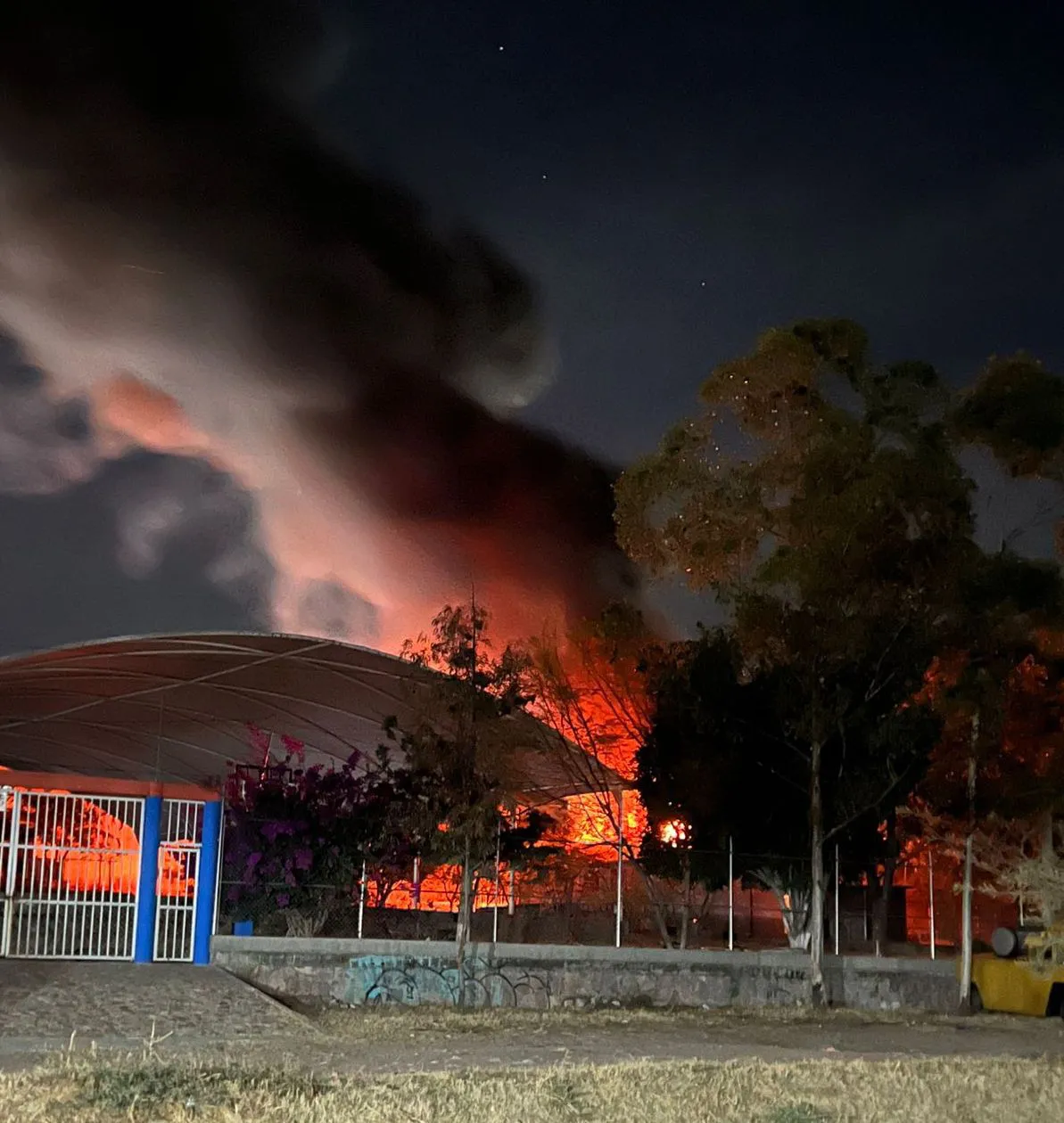 WhatsApp Image 2026-01-01 at 14.48.36