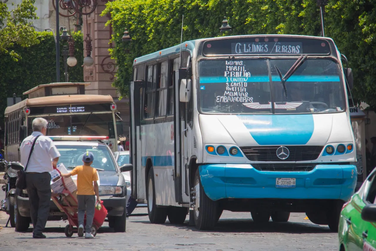 WhatsApp Image 2024-08-27 at 15.06.11