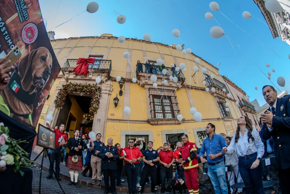 WhatsApp Image 2024-12-14 at 15.19.15 (1)