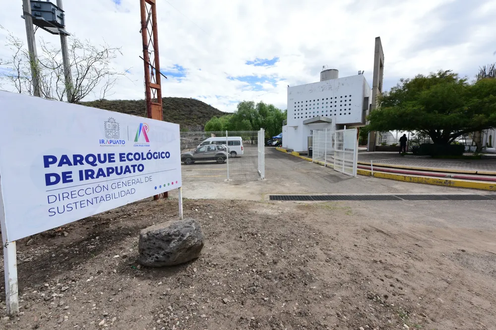 ACOPIO-DE-ARBOLES-NAVIDENOS-NATURALES-2