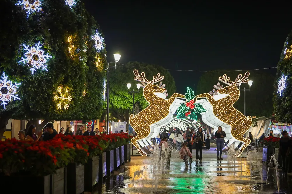 20251210185946_078A9501 (1)