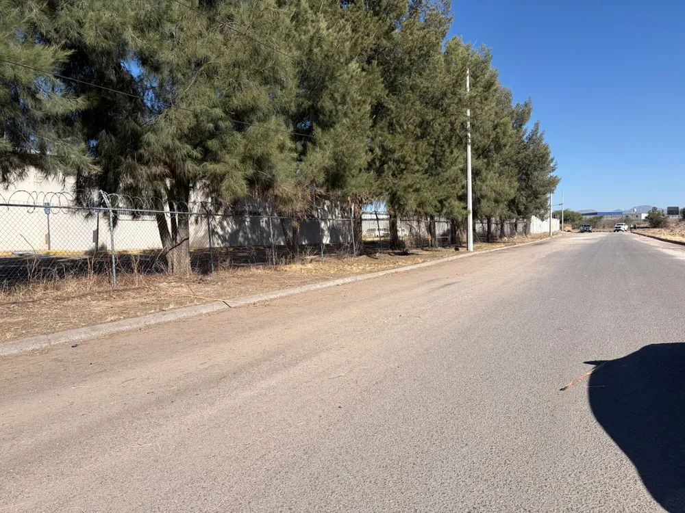 WhatsApp Image 2026-03-22 at 12.48.22 PM