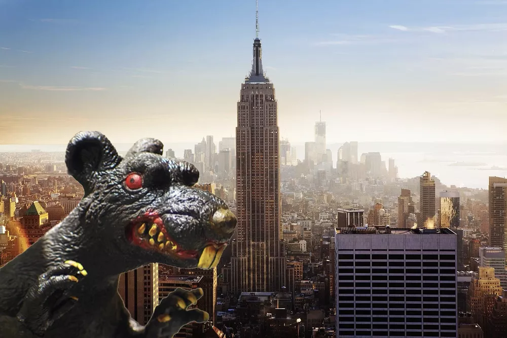 multimedia.grande.04d4e8e6-7feb-4f62-b018-97a9bb064157