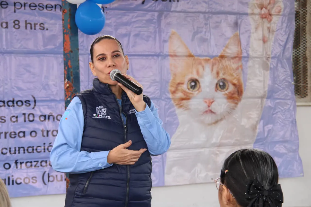 WhatsApp Image 2025-12-15 at 14.33.13