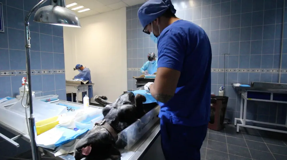 5867eac5-1021-4552-9484-14746e4458e6