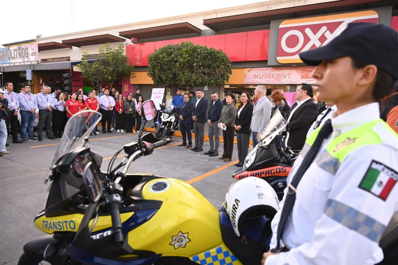 WhatsApp Image 2026-02-05 at 19.44.17