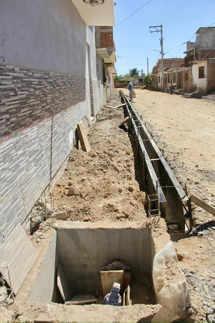 WhatsApp Image 2025-11-05 at 19.43.04