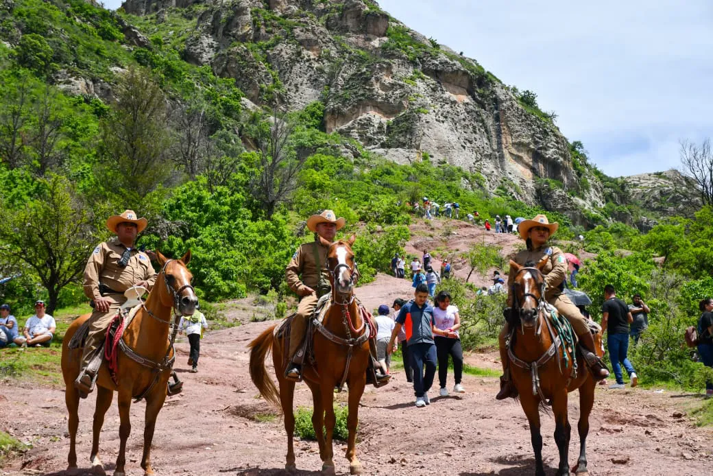 WhatsApp Image 2024-07-31 at 19.23.09