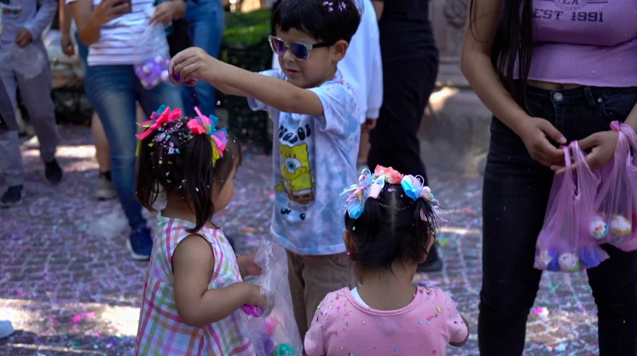 WhatsApp Image 2026-02-18 at 13.33.04