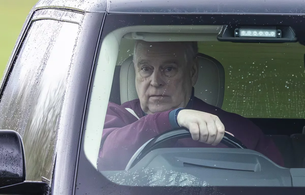 Andres principe copia