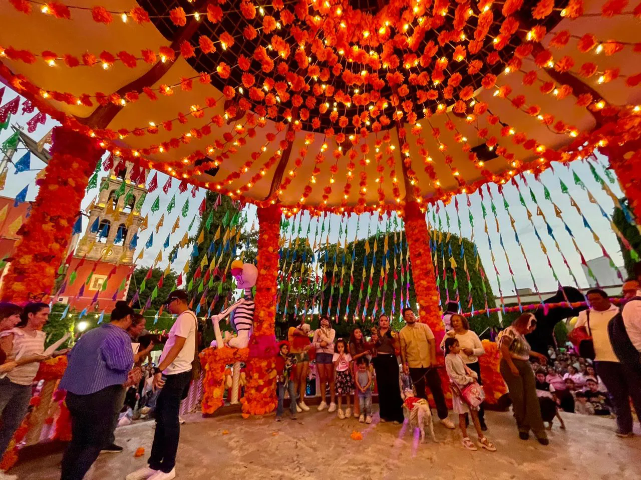 WhatsApp Image 2025-10-26 at 19.06.53